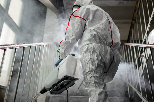 Reliable Discovery Bay, CA Mold Removal Solutions